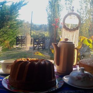 Cabanas Don Fernando